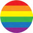 Lesbian, Gay, Bisexual, Transgender, Intersex and Queer flag icon